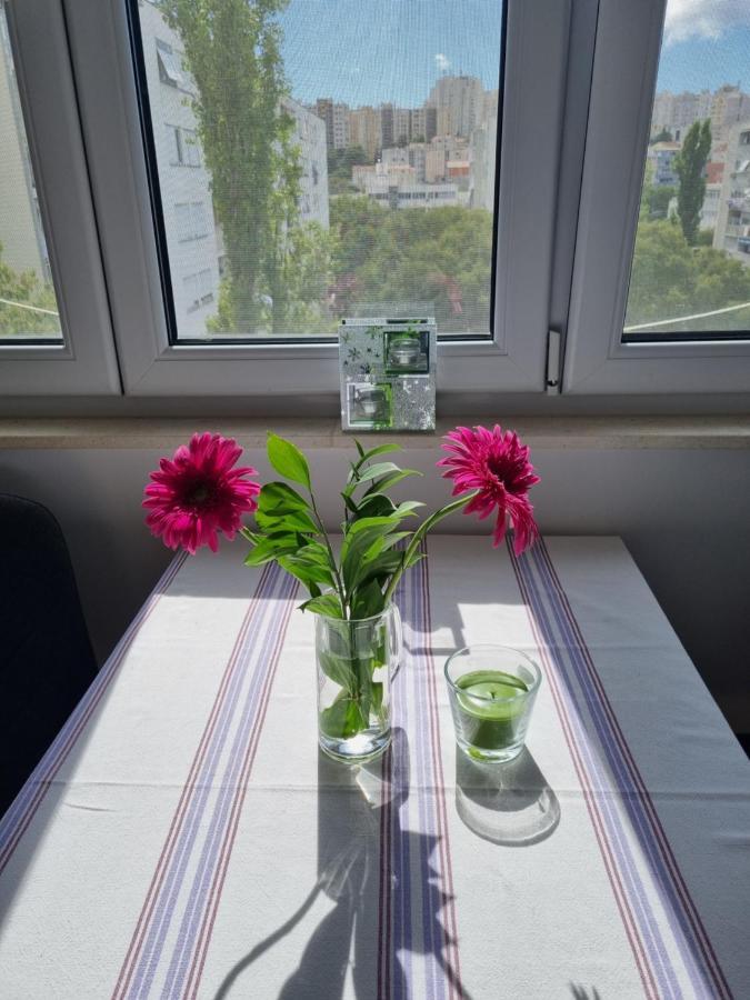 Apartment Vinka 스플리트 외부 사진